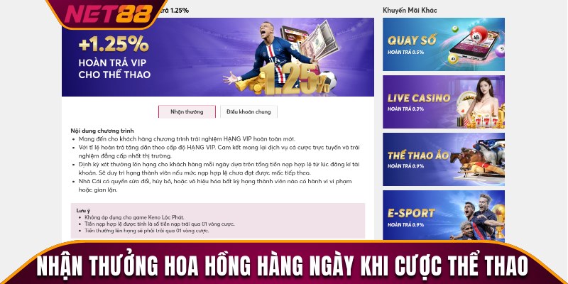 Nhận thưởng trả hoa hồng hàng ngày khi cược thể thao