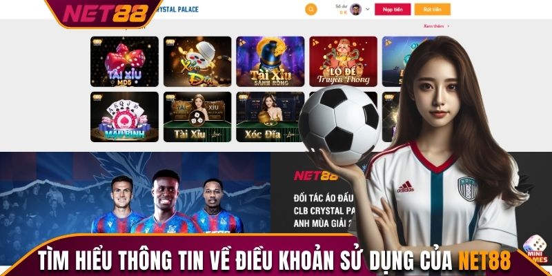 Tìm hiểu thông tin về điều khoản sử dụng của Net88