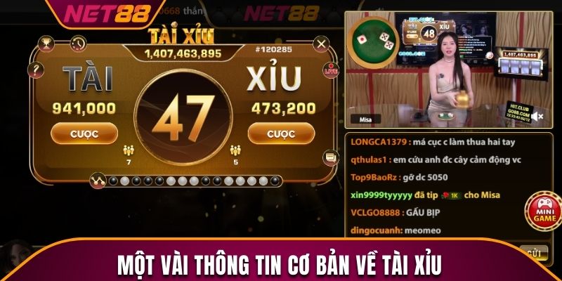 Vài nét cơ bản về Tài xỉu Net88